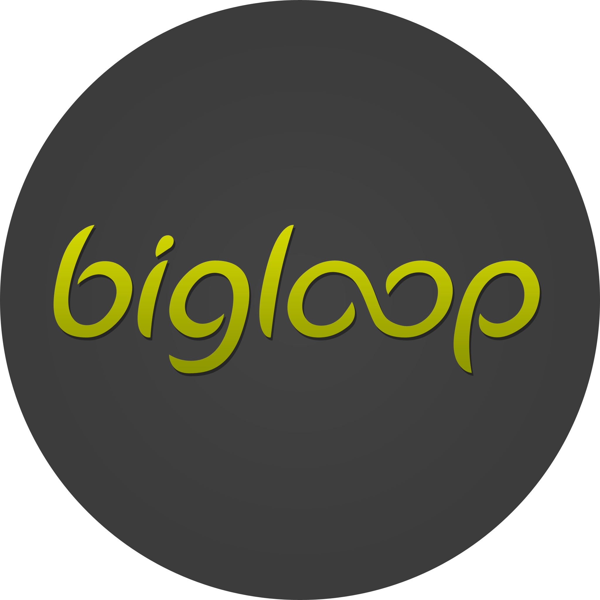 Big Loop Studios